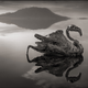 Illustration for article titled The Most Amazing Science Images of 2013